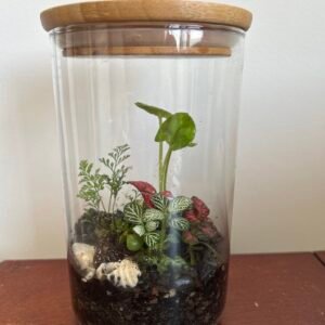 Miniature Ocean-Side Desk Terrarium